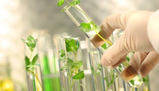 Экологическое обследование квартиры и дома в Сосновом Боре от 20316 руб.