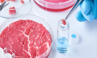 Лабораторный анализ пищевых продуктов по СанПиН в Сосновом Боре в октябре