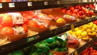 Сертификация пищевой продукции в Сосновом Боре – цена от 10158 руб. | ПромМир-Снб