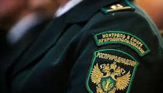 Подготовка к проверке Росприроднадзора в Сосновом Боре от ПромМир-Снб, стоимость услуги от 20316 руб.